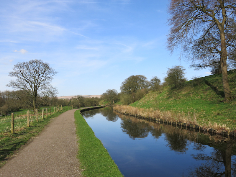 Along the Canal