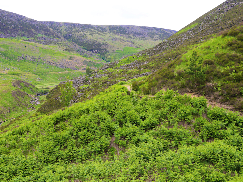 DS4c Path along hillside